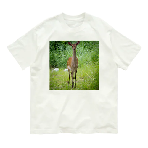 シカとの遭遇 Organic Cotton T-Shirt