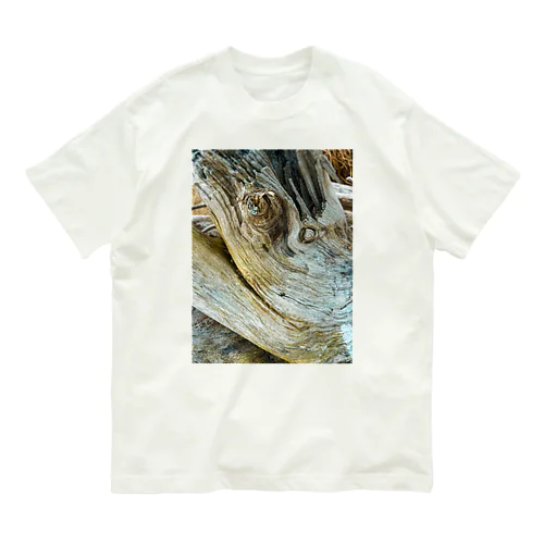 流木のキオク オーガニックコットンTシャツ