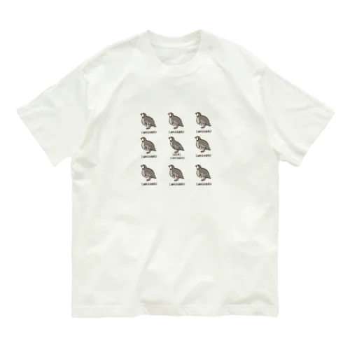 HOSOIIWASHAKO オーガニックコットンTシャツ