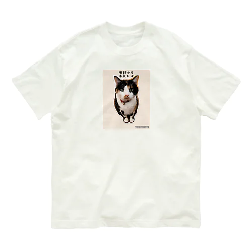 三毛猫なっちゃん、 オーガニックコットンTシャツ