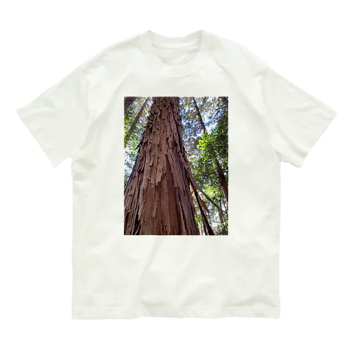 お山の檜 Organic Cotton T-Shirt