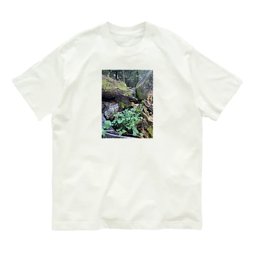 多様性の森 オーガニックコットンTシャツ