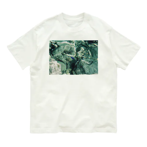 宮古島の碧いサカナ Organic Cotton T-Shirt