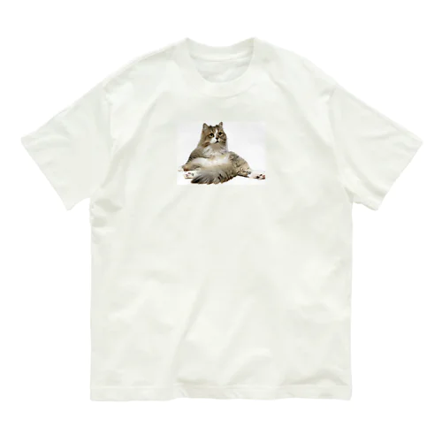 おすわりこむにゃんこ オーガニックコットンTシャツ