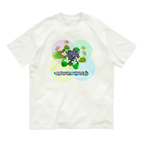 〇絵『額紫陽花h.t.』 オーガニックコットンTシャツ