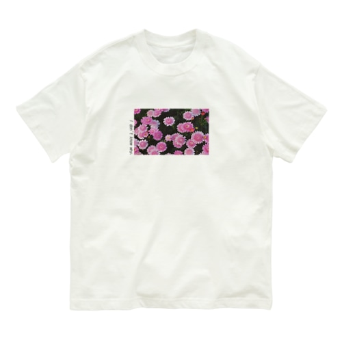 I don't know why. Organic Cotton T-Shirt