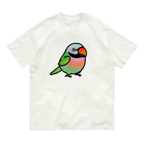 Chubby Bird ダルマインコ（男の子） オーガニックコットンTシャツ