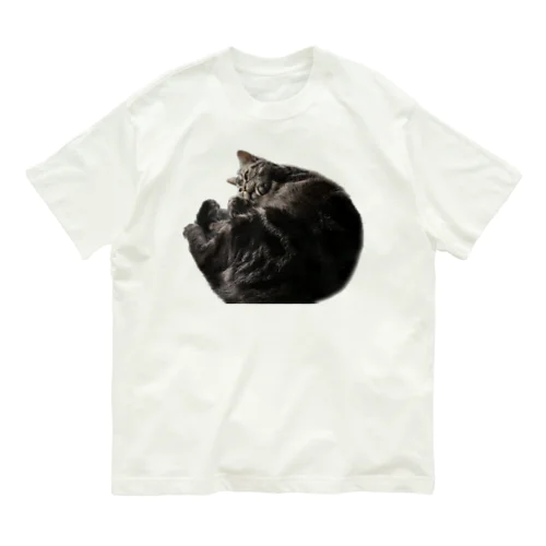 アメショーのひめちゃん① Organic Cotton T-Shirt