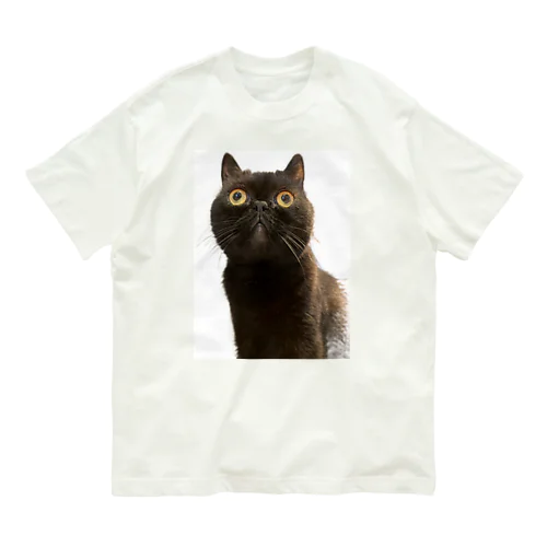 黒猫マイケル オーガニックコットンTシャツ