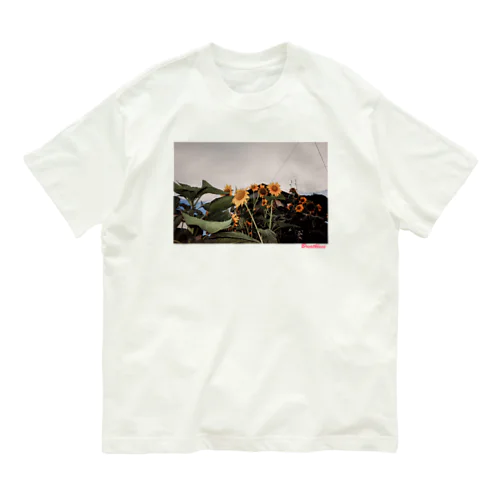 ひまわり Organic Cotton T-Shirt