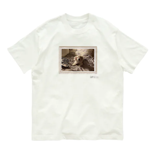 題名:犬が家で待ってる Organic Cotton T-Shirt