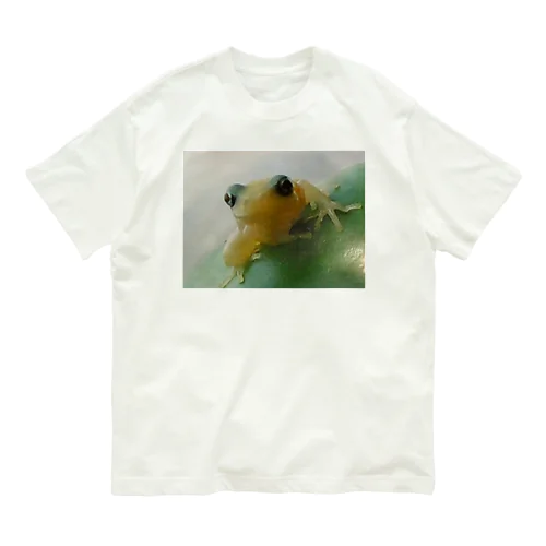 白かえる Organic Cotton T-Shirt