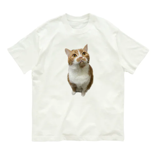 まるまるロビンくん Organic Cotton T-Shirt