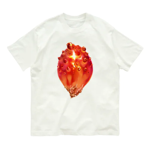 ほや Organic Cotton T-Shirt