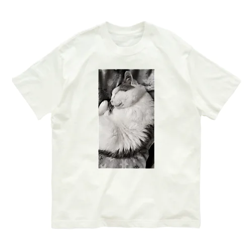 可愛い猫のお昼寝　癒し Organic Cotton T-Shirt