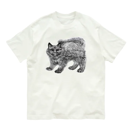 ふわふわの仔猫 オーガニックコットンTシャツ