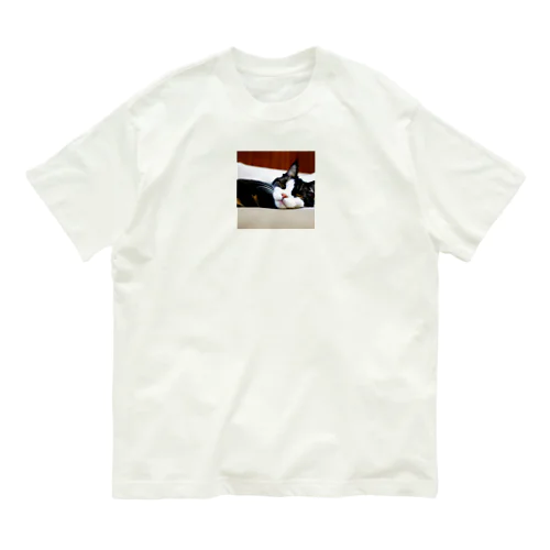 寝たネコ Organic Cotton T-Shirt