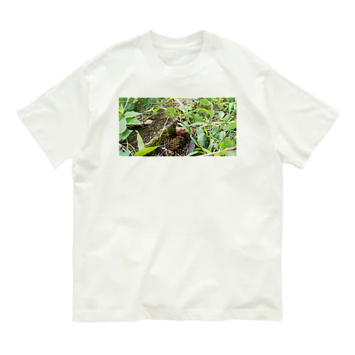 自然豊か Organic Cotton T-Shirt