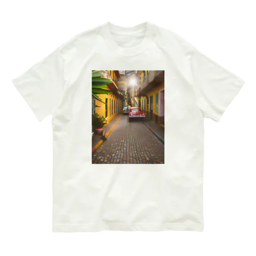 南米 Organic Cotton T-Shirt