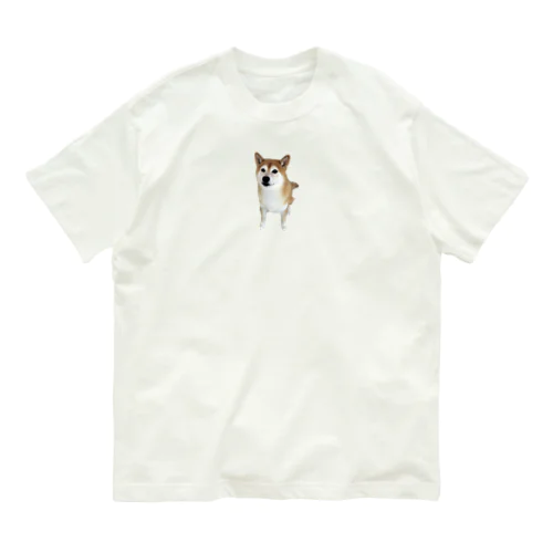 うるうるおめ目な柴犬 オーガニックコットンTシャツ