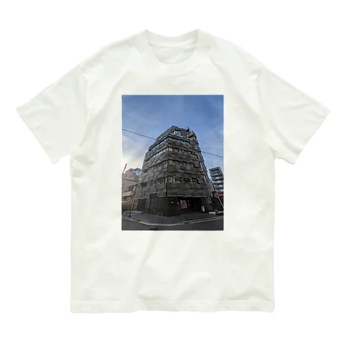 Modern Architecture オーガニックコットンTシャツ