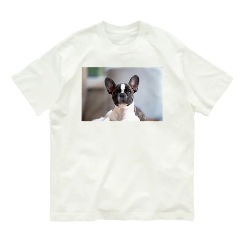 癒し系いぬ Organic Cotton T-Shirt