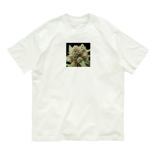 42O-0091 フォトゥオーナインティワン Organic Cotton T-Shirt