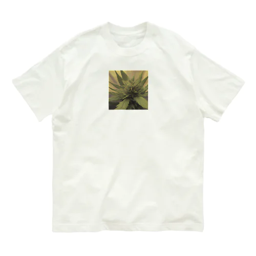 42O-0091 フォトゥオーナインティワン Organic Cotton T-Shirt