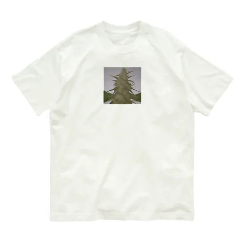 42O-0091 フォトゥオーナインティワン Organic Cotton T-Shirt