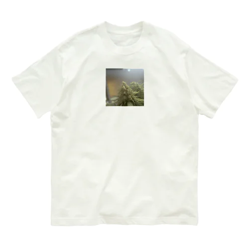 42O-0091 フォトゥオーナインティワン Organic Cotton T-Shirt