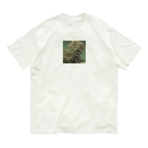 42O-0091 フォトゥオーナインティワン Organic Cotton T-Shirt