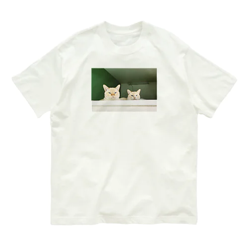 ぽんぽこ_1シリーズ オーガニックコットンTシャツ