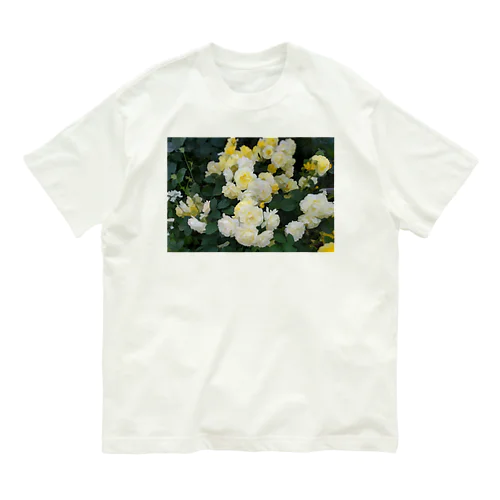 黄色い薔薇の花 Organic Cotton T-Shirt