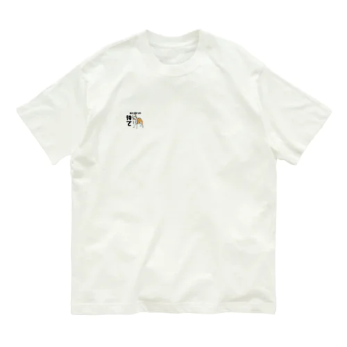 3セット待て Organic Cotton T-Shirt