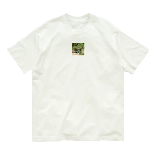 自然な色彩 Organic Cotton T-Shirt