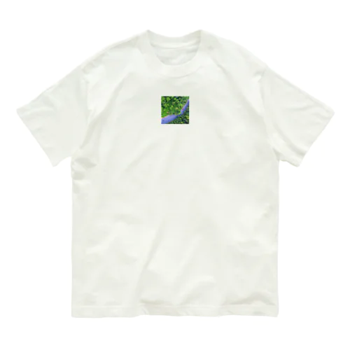 自然な多様性 オーガニックコットンTシャツ