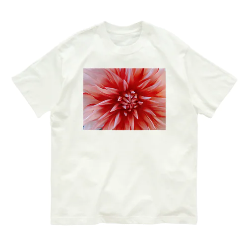 赤白ダリア Organic Cotton T-Shirt