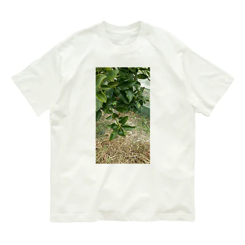 緑金柑の実 Organic Cotton T-Shirt