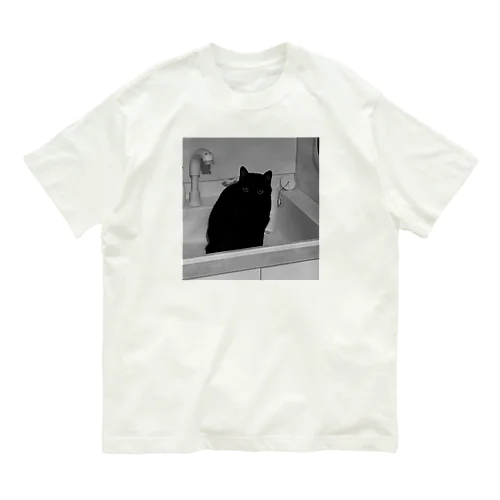 深夜猫 オーガニックコットンTシャツ