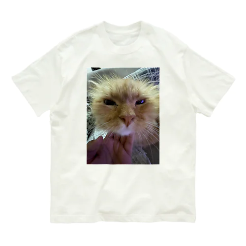 可愛い猫 Organic Cotton T-Shirt