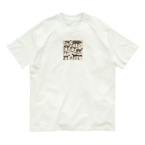 骨格標本 Organic Cotton T-Shirt