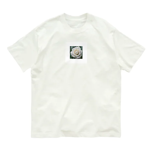 白い薔薇 オーガニックコットンTシャツ