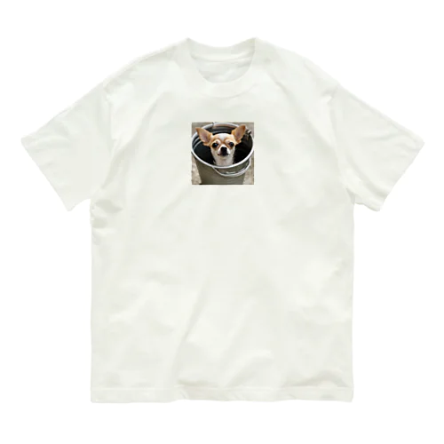 バケツに入ったチワワ Organic Cotton T-Shirt