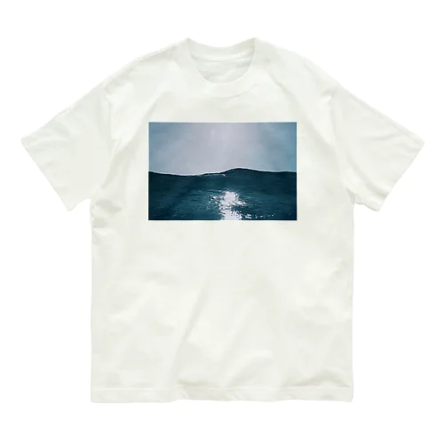 ART  PHOTO 2023 Organic Cotton T-Shirt