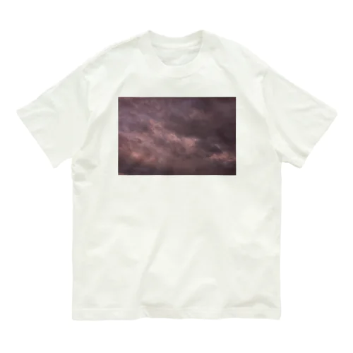 ファインアート　2023 Organic Cotton T-Shirt