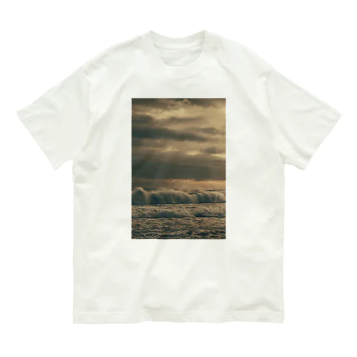 ファインアート2023 Organic Cotton T-Shirt