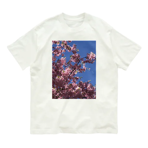 桜🌸 オーガニックコットンTシャツ