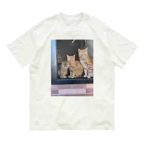 出窓で飼い主帰るを待つ猫たち Organic Cotton T-Shirt