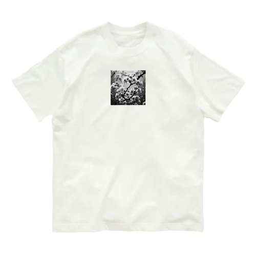 桜 オーガニックコットンTシャツ