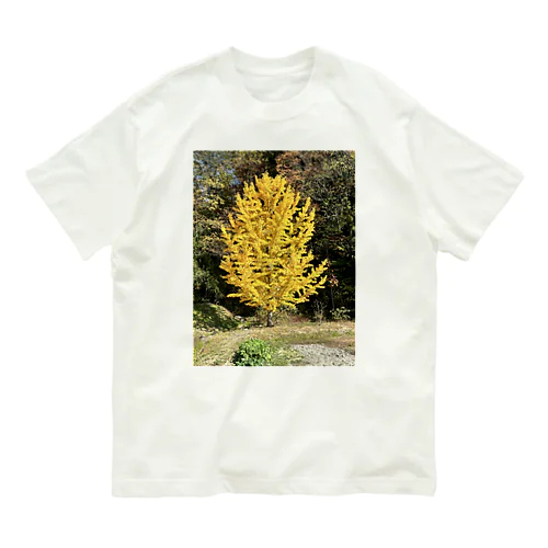 安曇野のイチョウの写真グッズ Organic Cotton T-Shirt